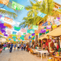 Cómo dar de alta y baja placas en Nayarit Rastreator mx