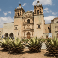 Cómo dar de alta y baja placas en Oaxaca Rastreator mx