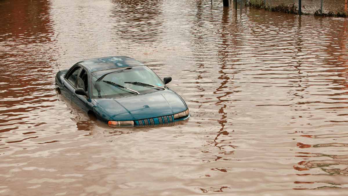 Como escapar de un auto que se esta hundiendo.jpg